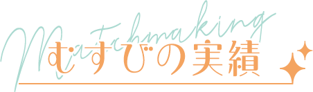 むすびの実績